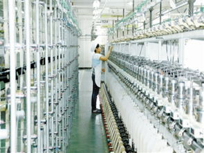 慈溪8718經緯線業 特種紗線國產替代的技術開發與推廣